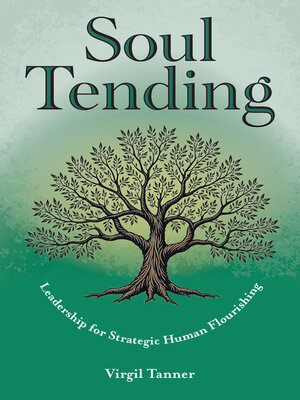 cover image of Soul Tending